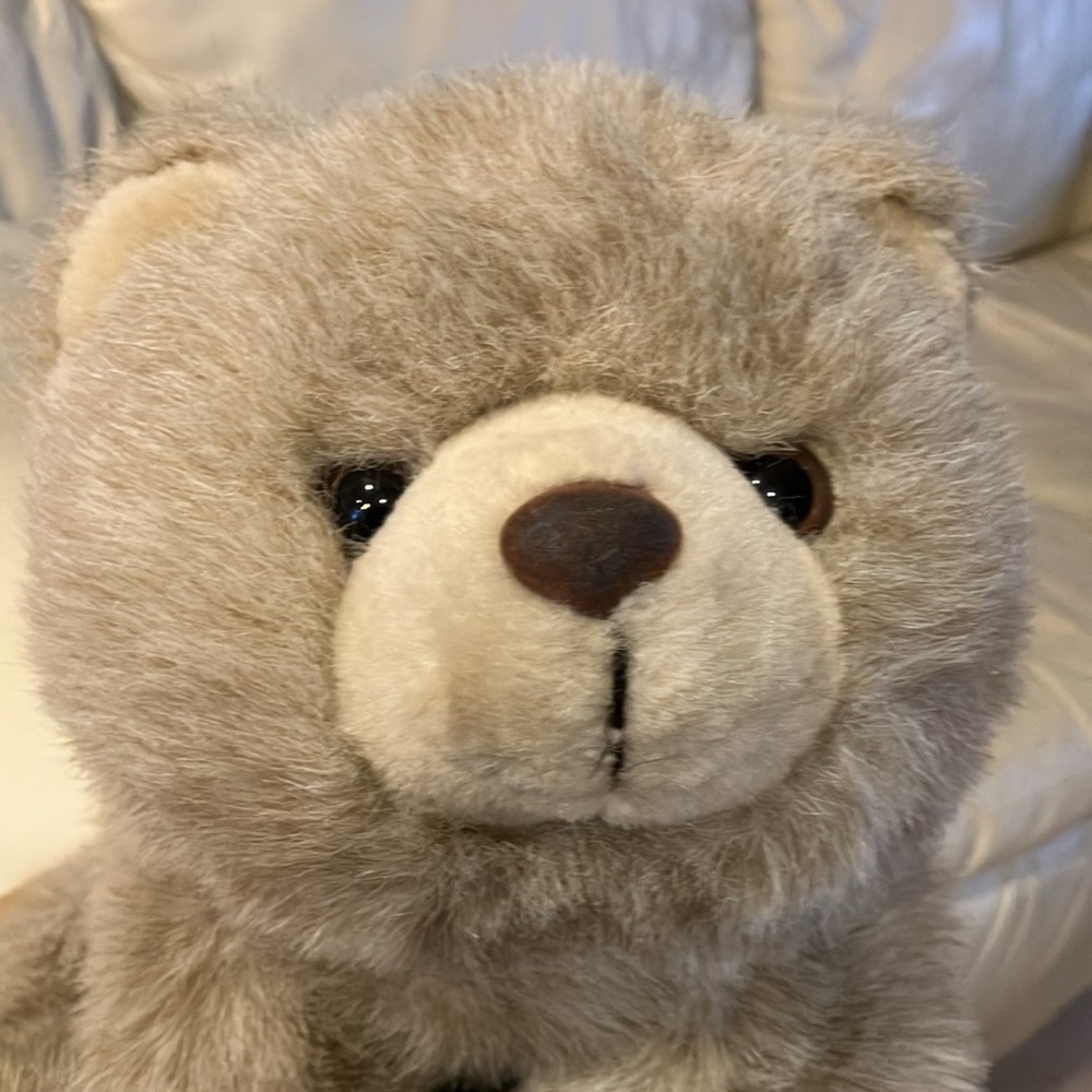 Adorable Beige Plush Teddy Bear - Picture 2 of 7